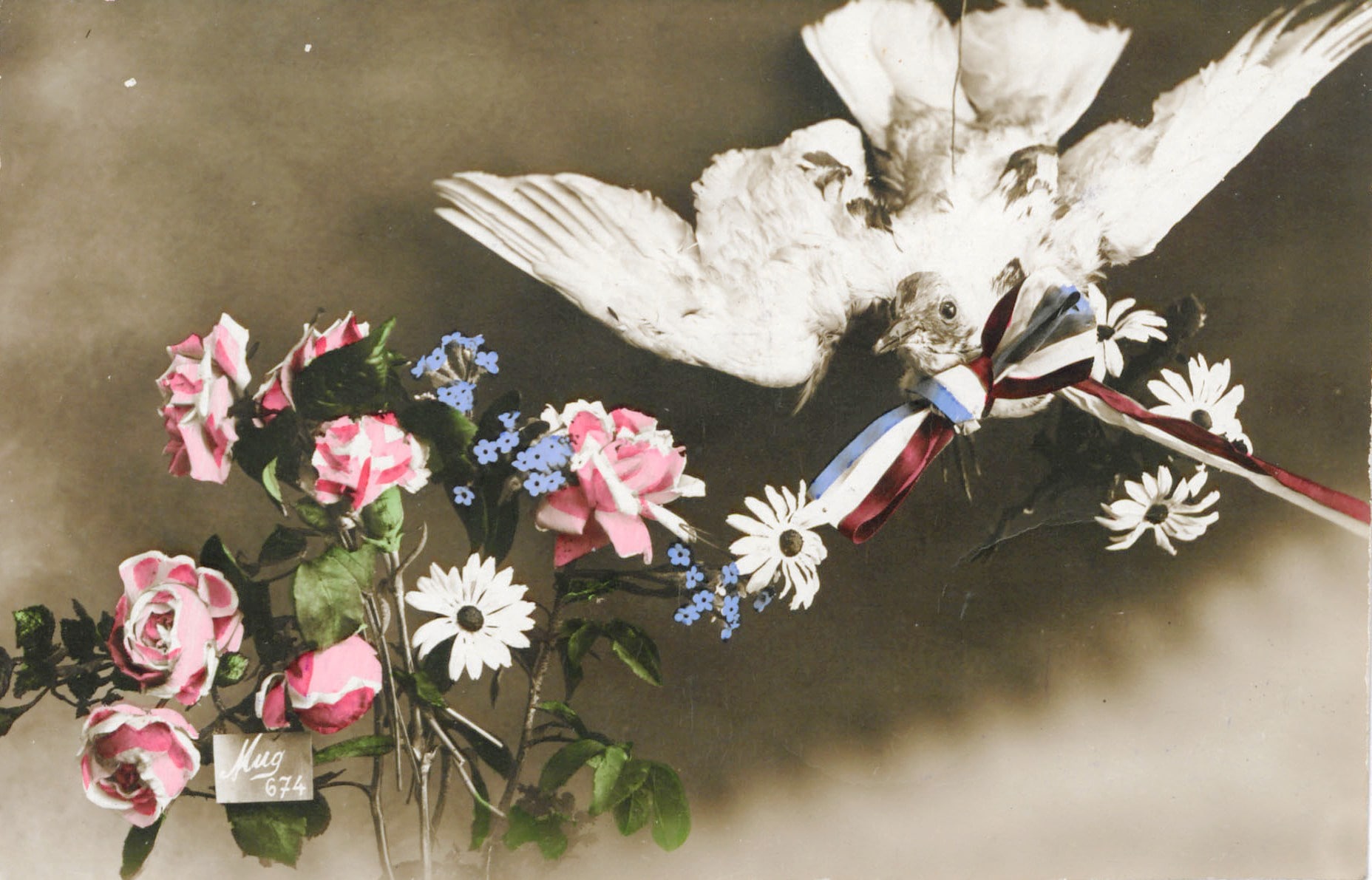 Colombe avec drapeau français. Carte postale envoyée par le soldat Jules Bobillot, 50e RI, à sa femme Marthe. 14 octobre 1915. Archives nationales, 700AP/3/PA_016