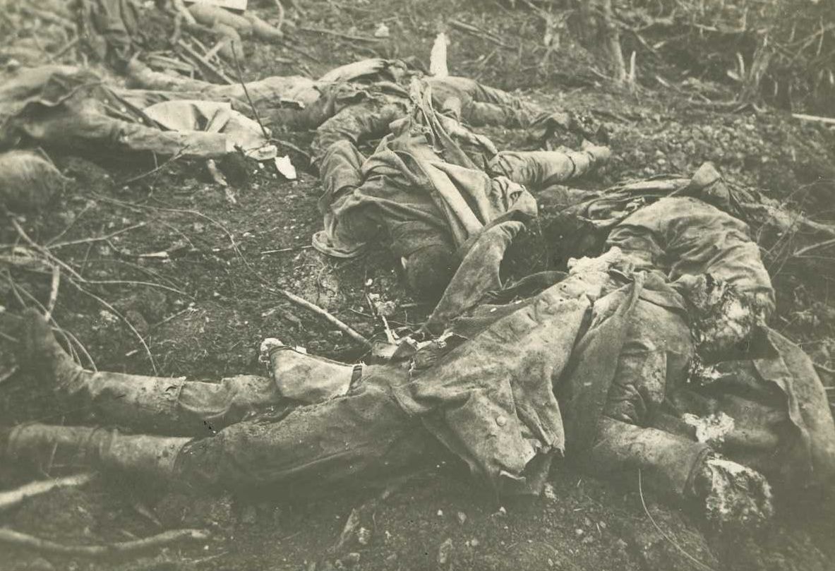 Restes humains à Bois-le-Prêtre (Meurthe-et-Moselle). Photographie carte postale d’Alfred Loustalot, 103e RI, avec la légende au dos : « A montrer à ceux qui veulent la guerre, ce qui
peut-être nous attend demain ». 1915. Archives nationales, 700AP/5/PA_114