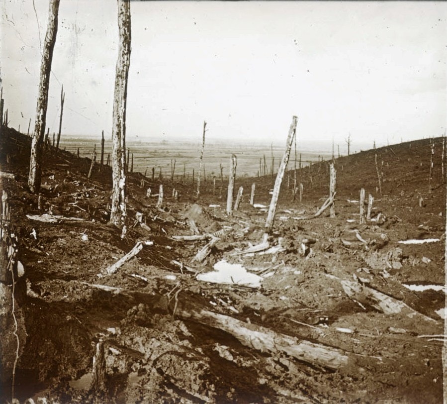 Paysage désolé dans la Meuse (ravin des Éparges). Collection de plaques de verre stéréoscopiques de Maurice Brun, 89e RI. Sans date. Archives nationales, 700AP/13/PA_341/1