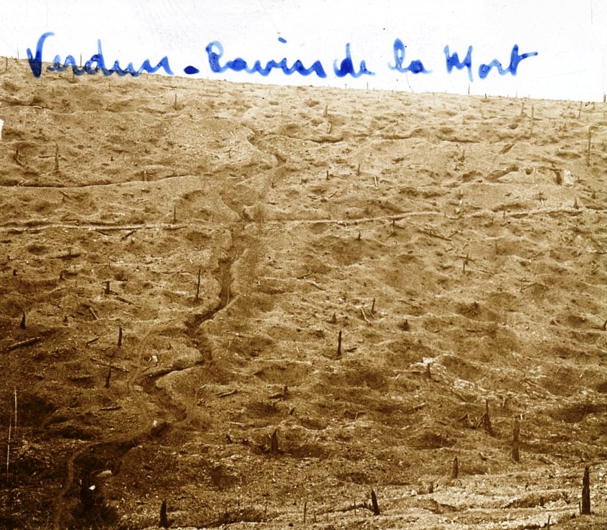 Paysage lunaire près de Verdun (ravin de la mort). Collection de plaques de verre stéréoscopiques de Maurice Brun, 89e RI. Sans
date. Archives nationales, 700AP/13/PA_341/1