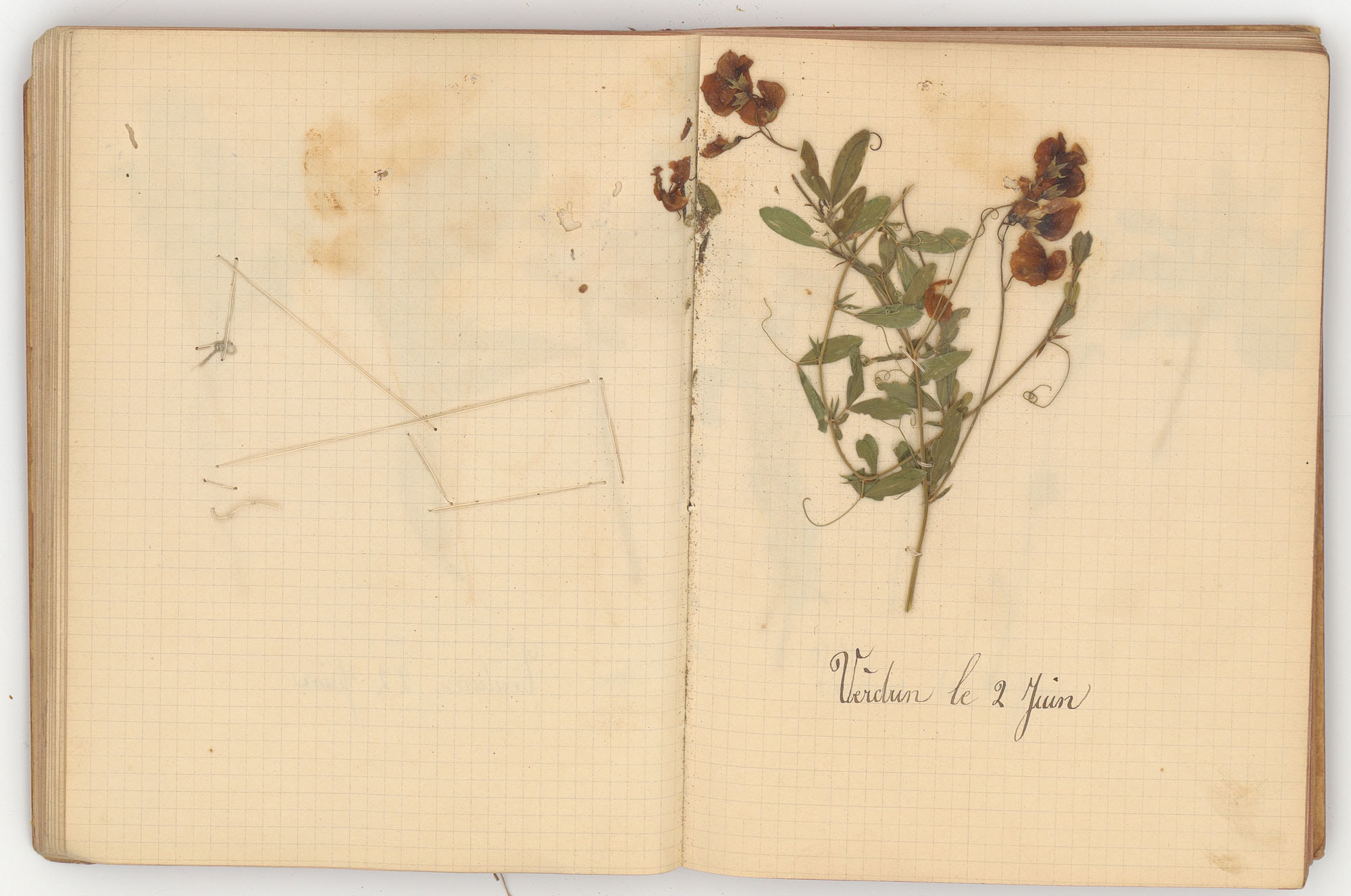 Carnet en forme d’herbier de Jean-Pierre Luminet, 98e RI. 1915-1918. Archives nationales, 700AP/3/PA_059