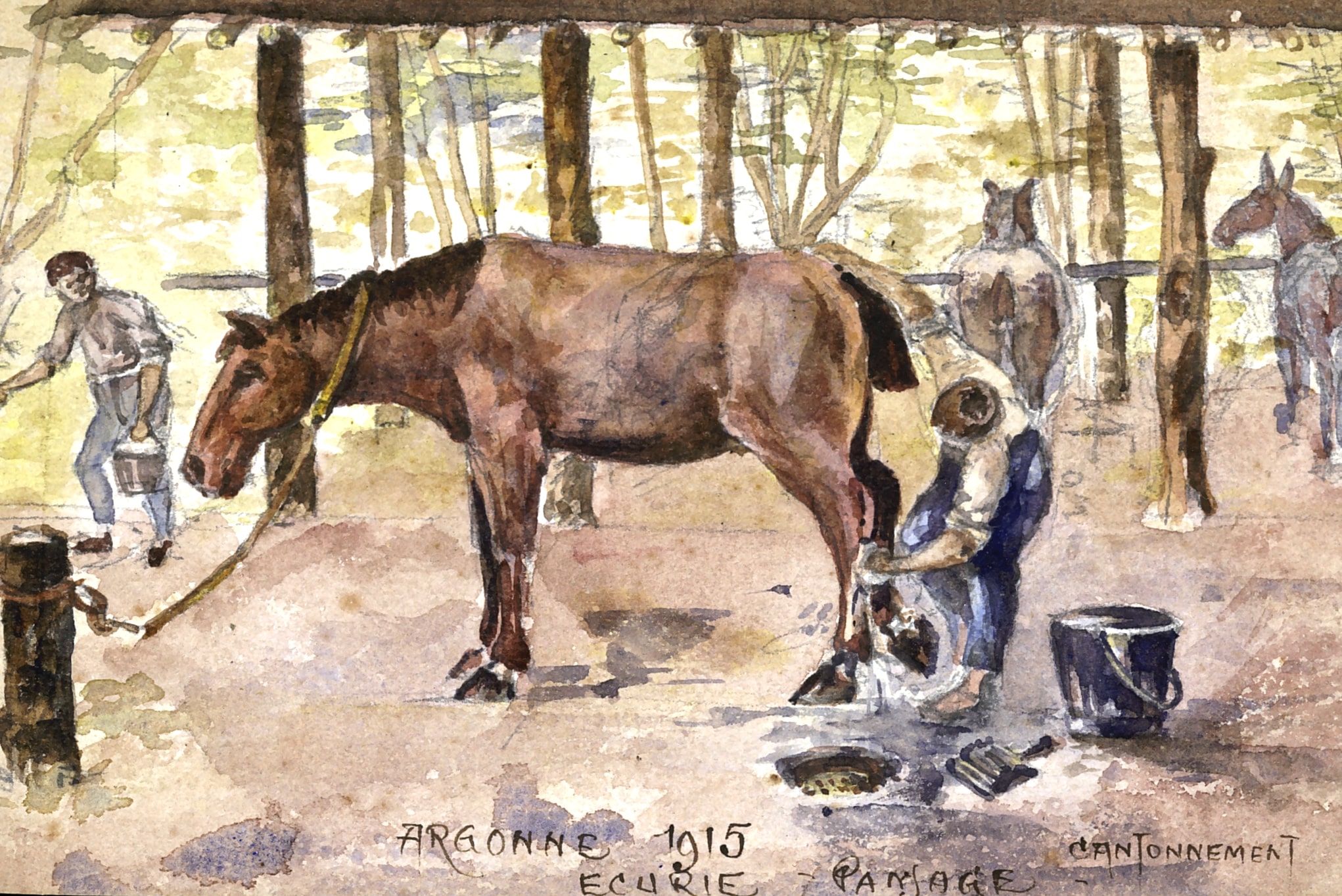 Pansage des chevaux en Argonne (Marne). Dessin de Jacques Gaston Boulez, 31e RI, de Paris. 1915. Archives nationales, 700AP/6/PA_152