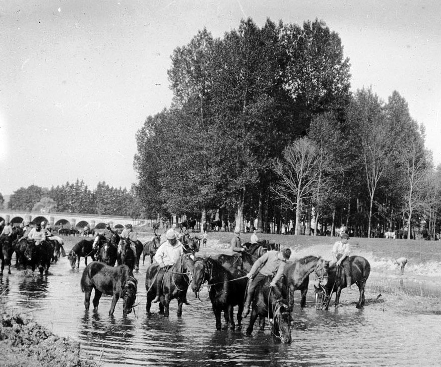 Abreuvage des chevaux dans une rivière. Photographie d’Henri de Gaudart d'Allaines, capitaine au 74e RA. Archives nationales, 700AP/13/PA_315